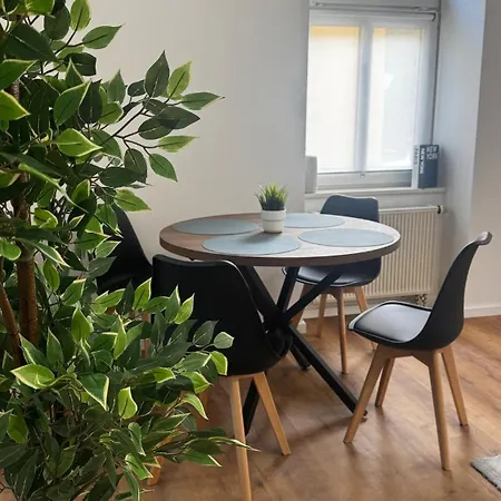 Stilvoll Wohnen Im Modernen Altbau - Zentrale Lage Апартаменты *